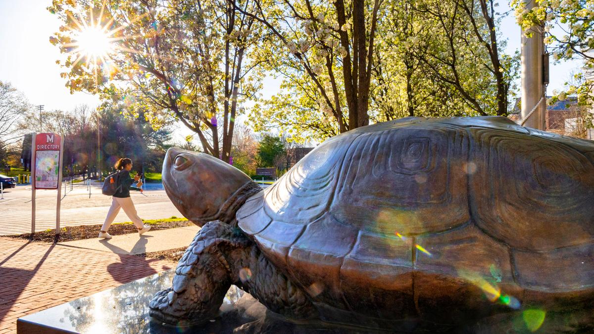 The Testudo bronze turtle statue at sunset as a student walks past on the UMD campus.