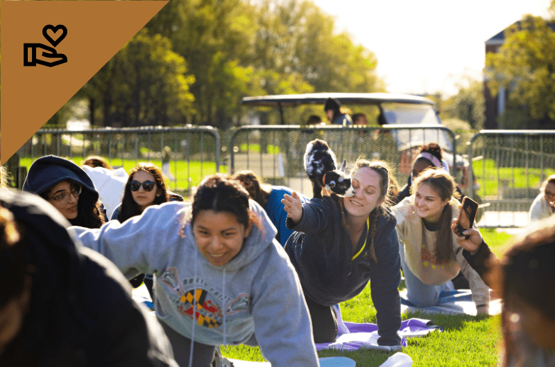 People doing outdoor yoga on a sunny day, smiling, with baby goats.