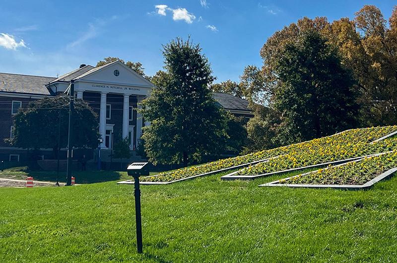  The Mitchell Building behind a grassy hill with tiered yellow flower beds on a sunny day.